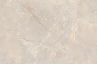 特地 負(fù)離子瓷磚,專注健康裝修,環(huán)保瓷磚 特地 負(fù)離子瓷磚